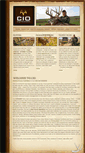 Mobile Screenshot of ciohunt.com