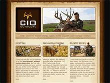 Tablet Screenshot of ciohunt.com